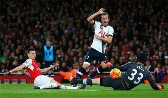 每年组织学 每年组织学